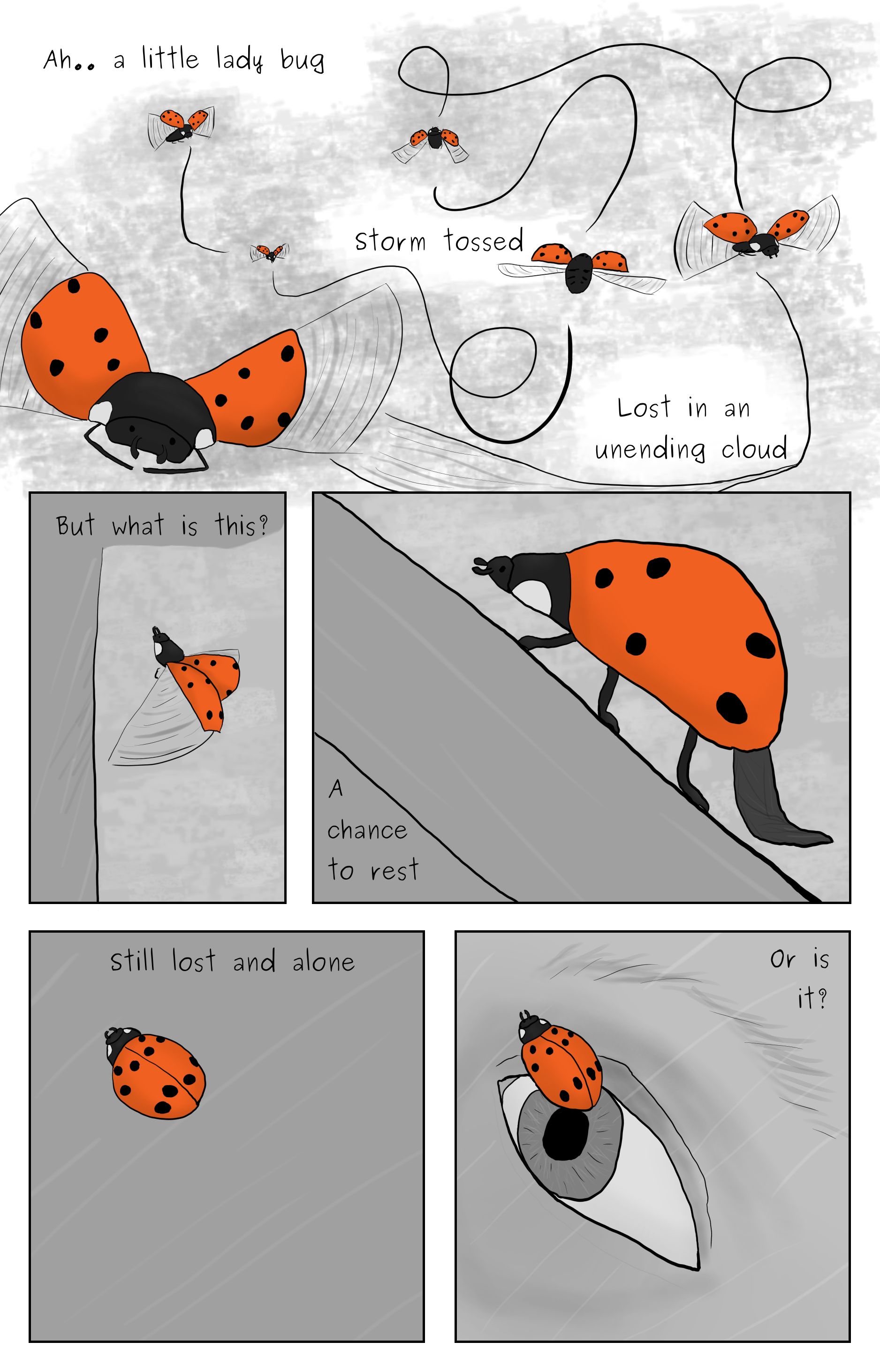 A comic featuring  A ladybug being lost in a stormcloud, finding a place to rest on a window, and an eye looking at ladybug from the other side of the window.