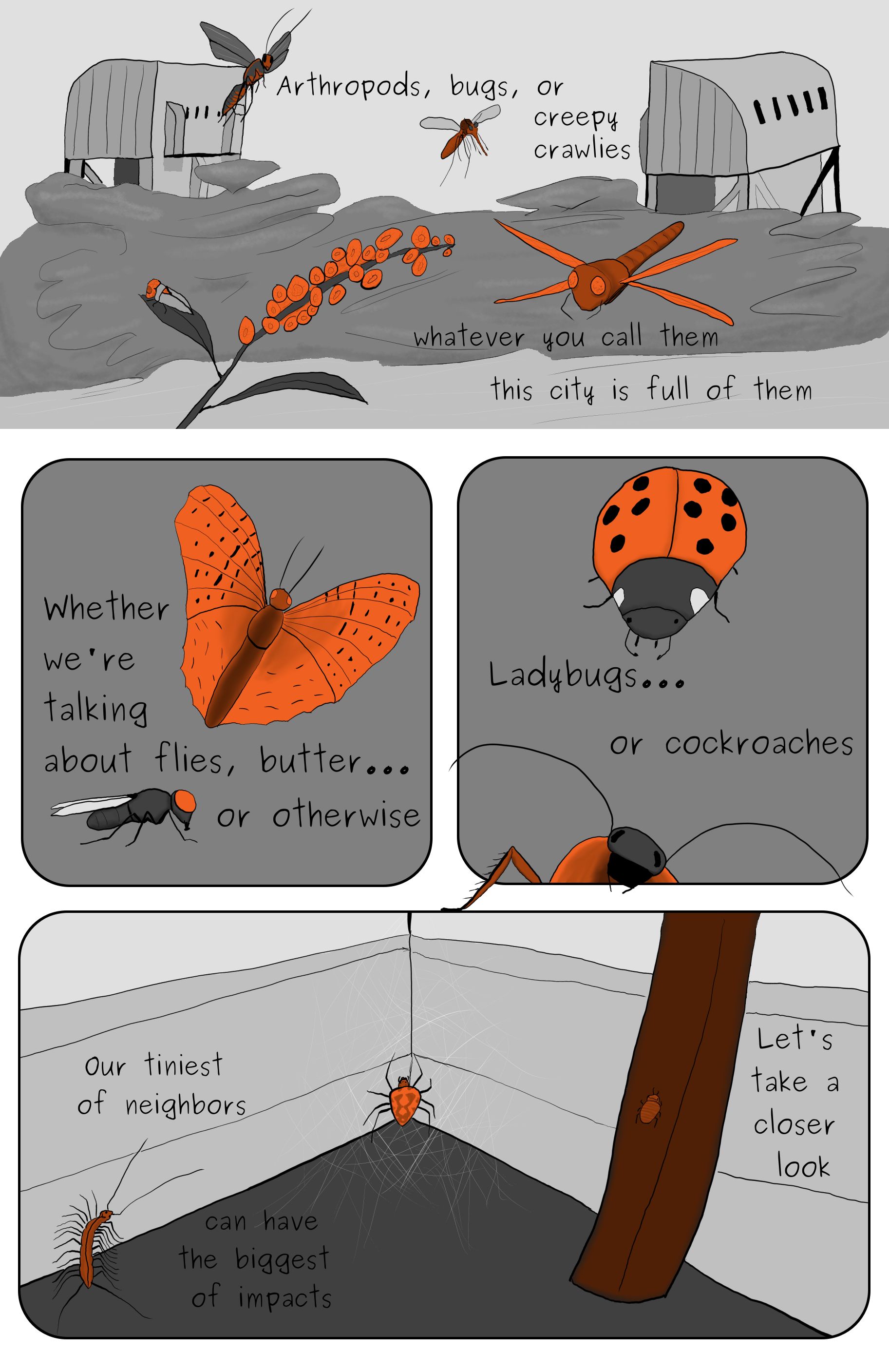 A five panel comic page feturing a bedbug, a marbled orb weaver, a house centipede, a cockroach, a ladybug, a housefly, a butterfly, a broad headed sharpshooter, a dragofly, a mosquito, and a wasp