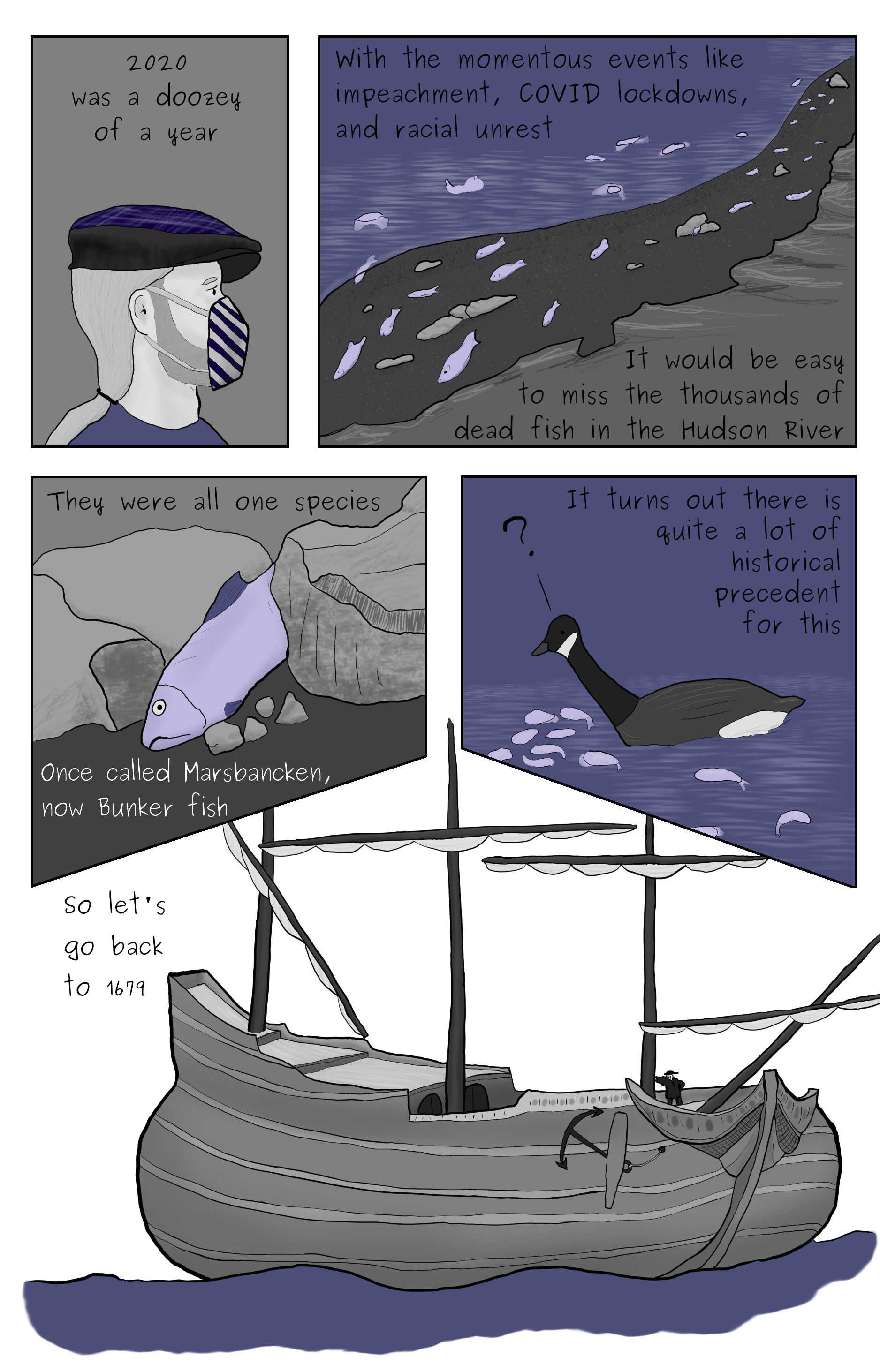 A comic featuring Phillip Gerba wearing a mask, a shore littered with dead fish, a dead bunker fish wedged between some rocks, a Canada goose swimmng through a bunch of dead fish, and a flyute with Jasper Danckaerts on the deck.