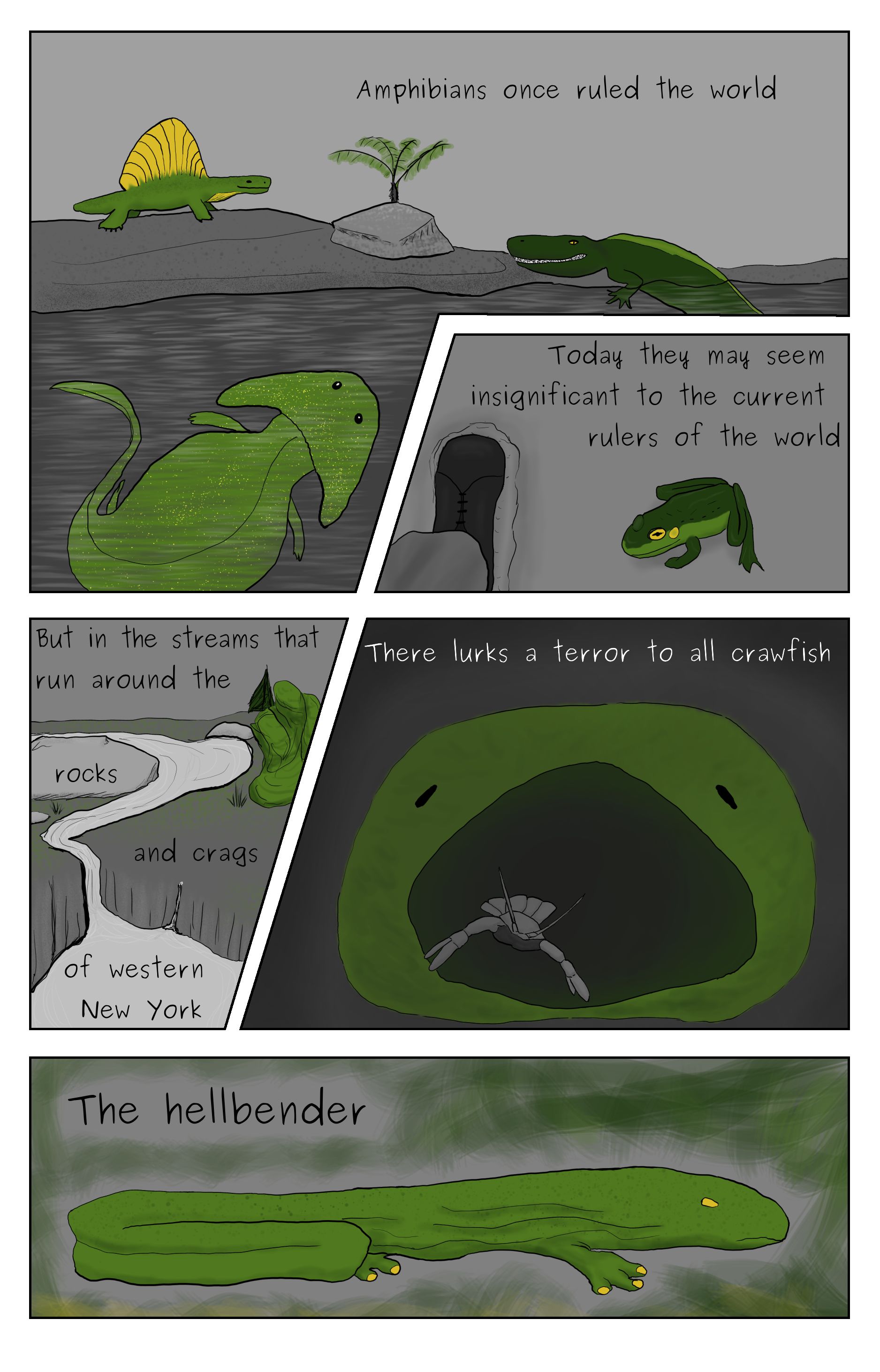 A comic featuring a scen from the permian period with the amphibians of that era, a foot next to a common green frog, a stream flowing through western New York, a crayfish fleeing a gaping maw, and a hellbender salamander.