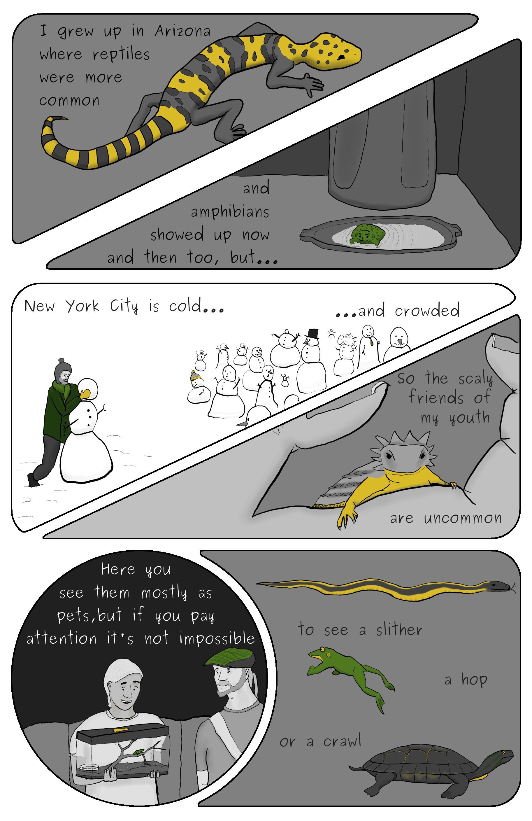 A six panel comic page featuring; a desert banded gecko, a colorado river toad, Phillip Gerba making one more snoman in a field of snowmen, a regal horned lizard, Phillip Gerba looking at a fellow subway rider witha terrarium full of frogs, a garter snake, common green frog and an eastern painted turtle. 