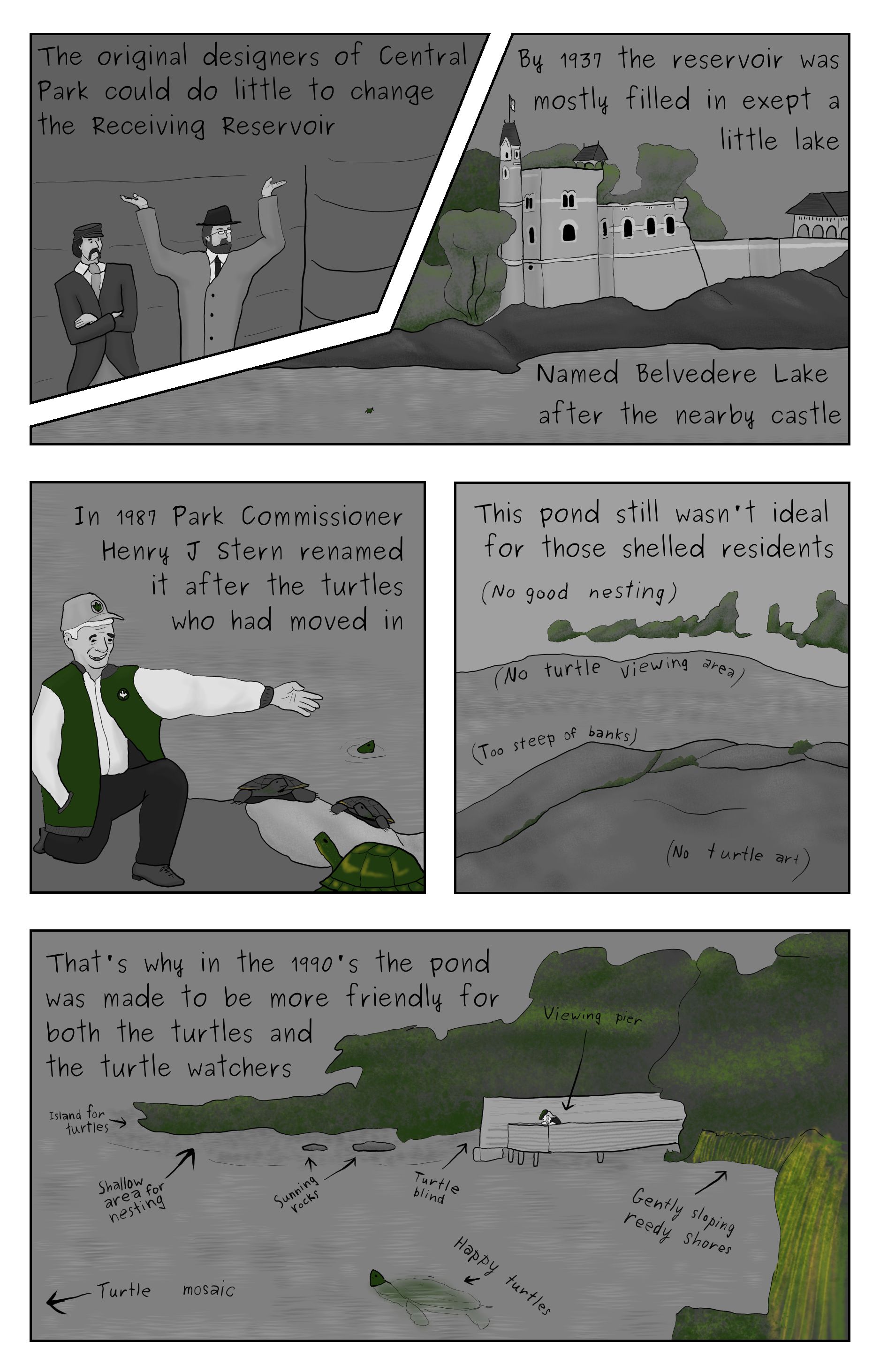A comic featuring the Turtle Pond in Central Park, a shocase of turtles found in Central Park, an easten painted turtle climbing over rocks, then looking up at a resoviur, and the old reciving rsoviour.